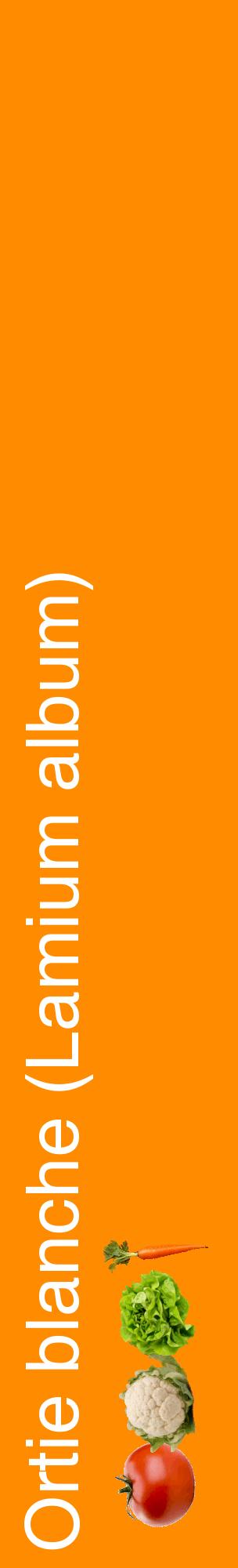 Étiquette de : Lamium album - format c - style blanche23_basiquehel avec comestibilité simplifiée