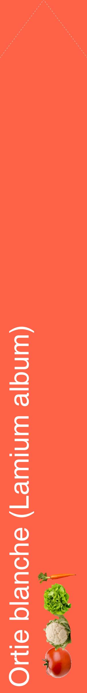 Étiquette de : Lamium album - format c - style blanche25_simplehel avec comestibilité simplifiée