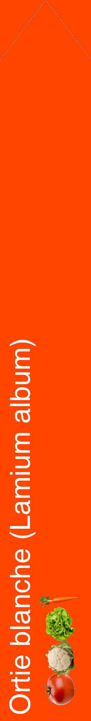 Étiquette de : Lamium album - format c - style blanche26_simplehel avec comestibilité simplifiée