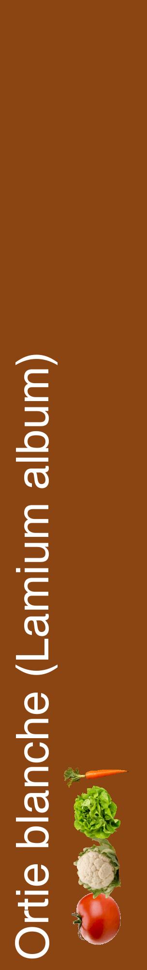 Étiquette de : Lamium album - format c - style blanche30_basiquehel avec comestibilité simplifiée