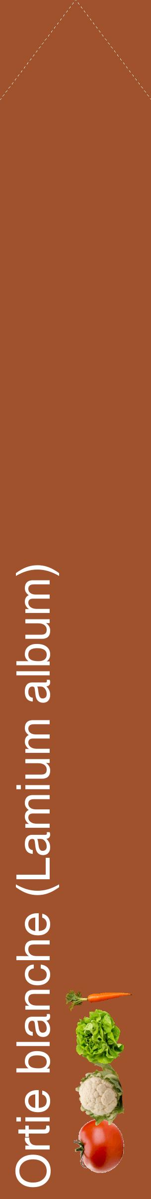 Étiquette de : Lamium album - format c - style blanche32_simplehel avec comestibilité simplifiée