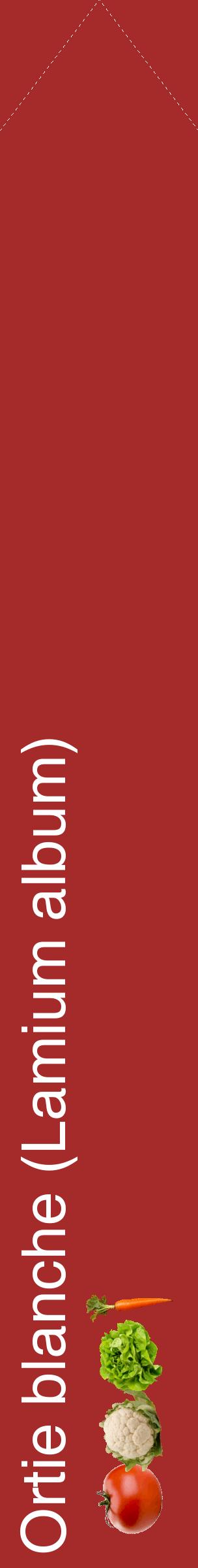Étiquette de : Lamium album - format c - style blanche33_simplehel avec comestibilité simplifiée