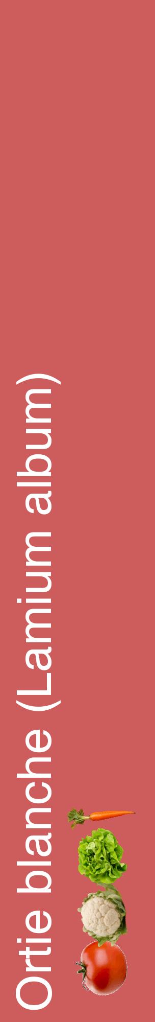 Étiquette de : Lamium album - format c - style blanche35_basiquehel avec comestibilité simplifiée