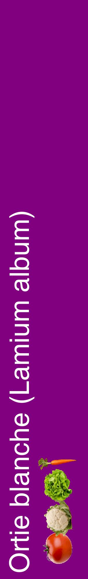 Étiquette de : Lamium album - format c - style blanche46_basiquehel avec comestibilité simplifiée
