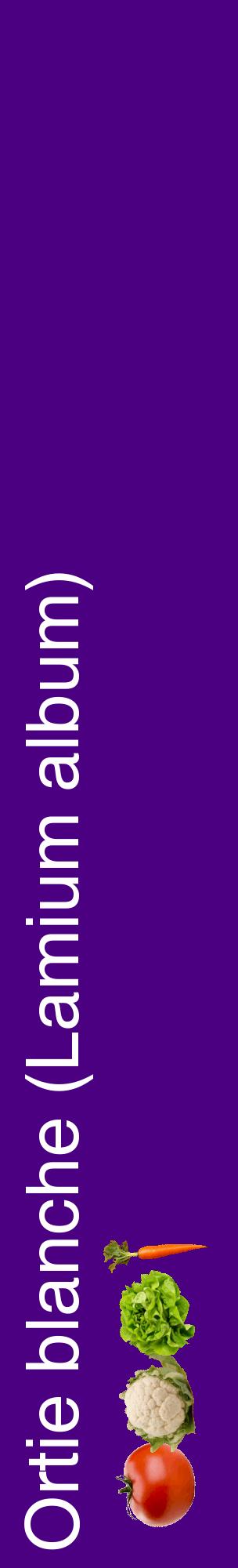 Étiquette de : Lamium album - format c - style blanche47_basiquehel avec comestibilité simplifiée