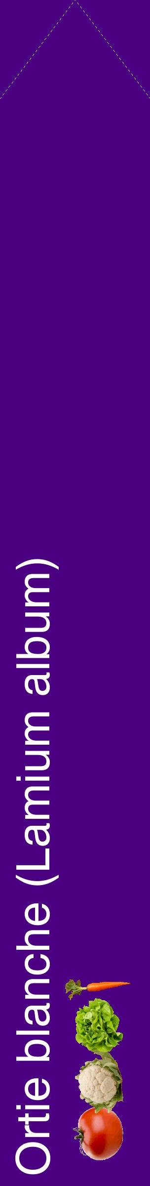 Étiquette de : Lamium album - format c - style blanche47_simplehel avec comestibilité simplifiée