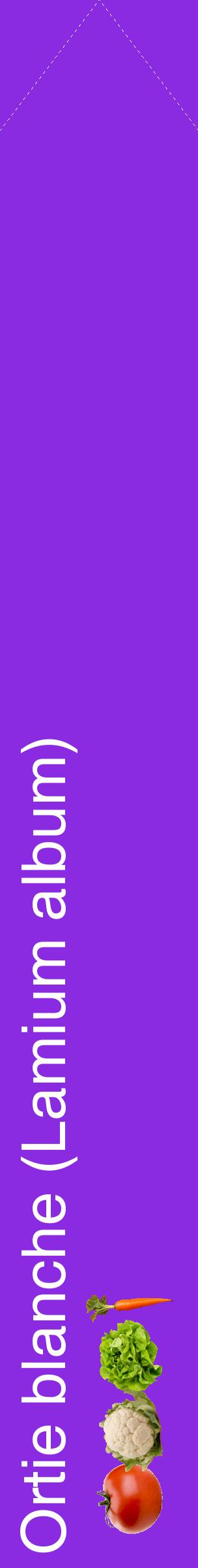 Étiquette de : Lamium album - format c - style blanche49_simplehel avec comestibilité simplifiée