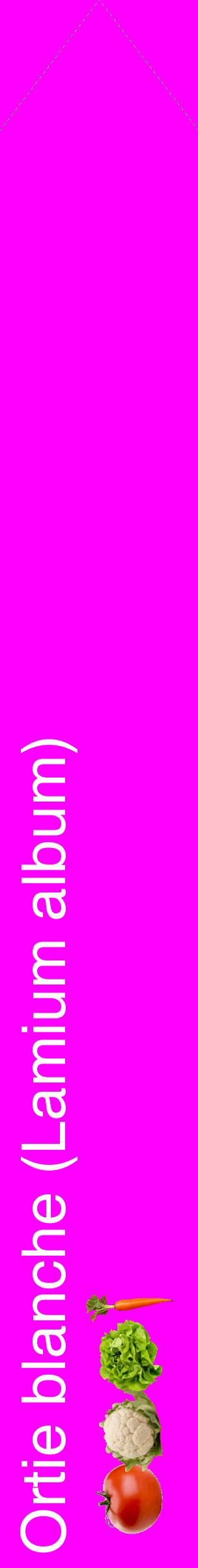Étiquette de : Lamium album - format c - style blanche51_simplehel avec comestibilité simplifiée