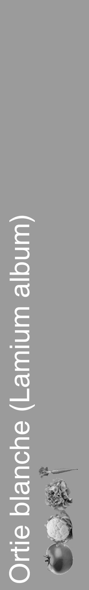 Étiquette de : Lamium album - format c - style blanche52_basique_basiquehel avec comestibilité simplifiée - position verticale