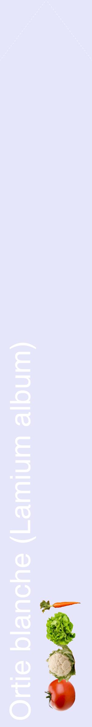 Étiquette de : Lamium album - format c - style blanche55_simplehel avec comestibilité simplifiée