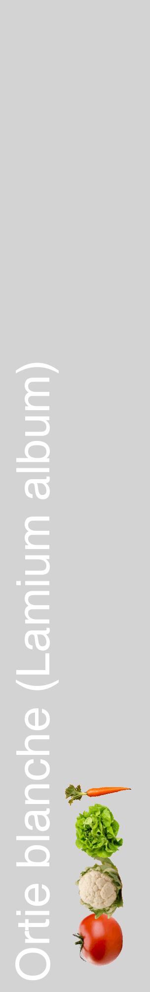 Étiquette de : Lamium album - format c - style blanche56_basiquehel avec comestibilité simplifiée