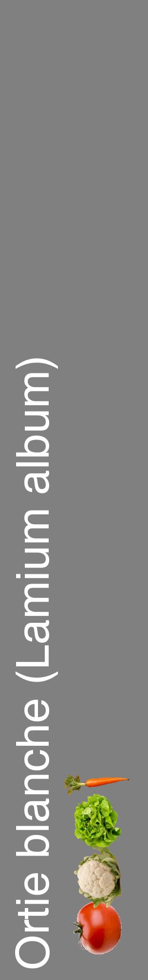 Étiquette de : Lamium album - format c - style blanche57_basiquehel avec comestibilité simplifiée