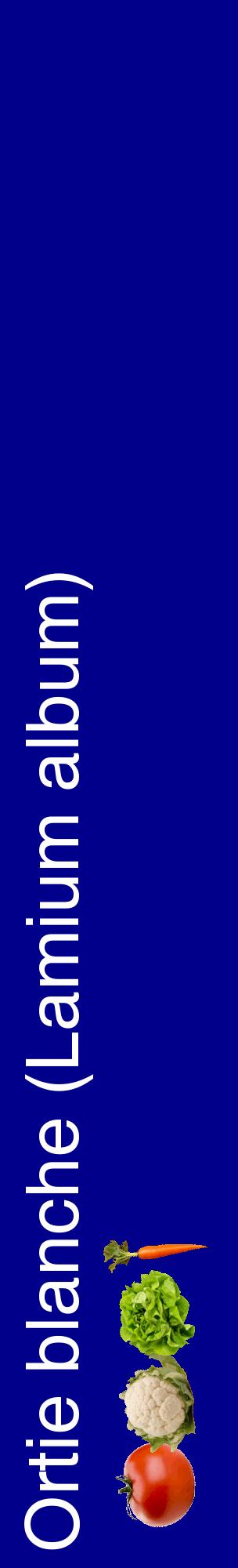 Étiquette de : Lamium album - format c - style blanche7_basiquehel avec comestibilité simplifiée