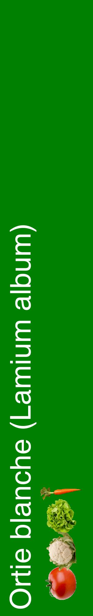 Étiquette de : Lamium album - format c - style blanche9_basiquehel avec comestibilité simplifiée