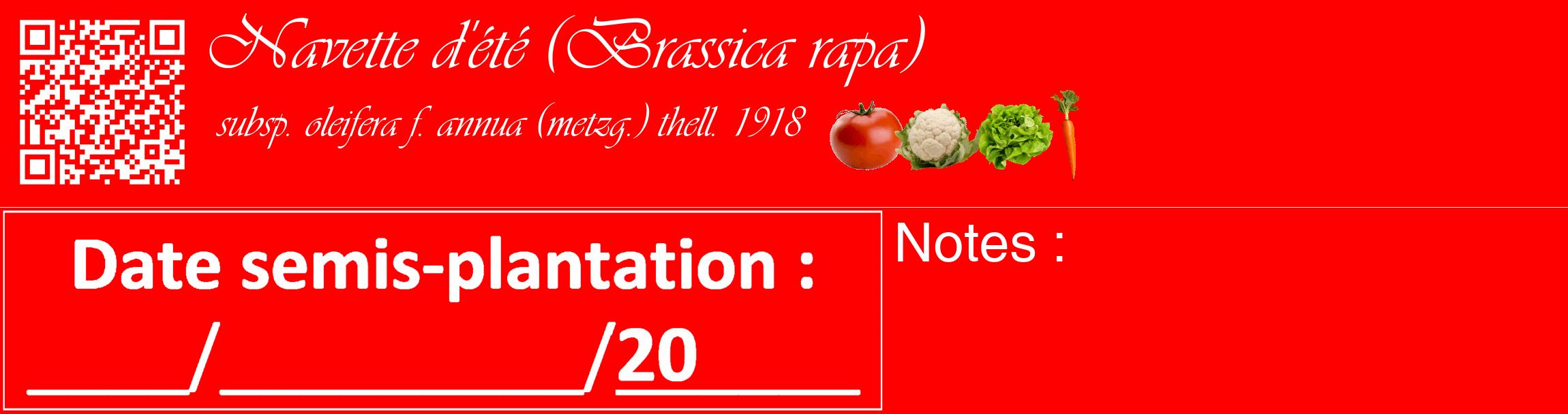 Étiquette de : Brassica rapa subsp. oleifera f. annua (metzg.) thell. 1918 - format c - style blanche27basique_basique_basiqueviv avec qrcode et comestibilité simplifiée