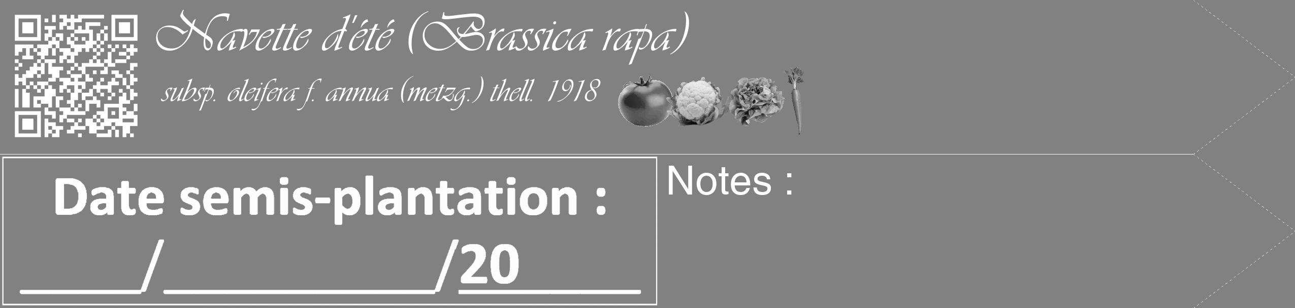 Étiquette de : Brassica rapa subsp. oleifera f. annua (metzg.) thell. 1918 - format c - style blanche50_simple_simpleviv avec qrcode et comestibilité simplifiée