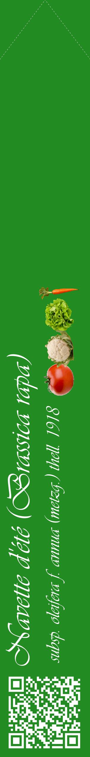Étiquette de : Brassica rapa subsp. oleifera f. annua (metzg.) thell. 1918 - format c - style blanche10_simpleviv avec qrcode et comestibilité simplifiée