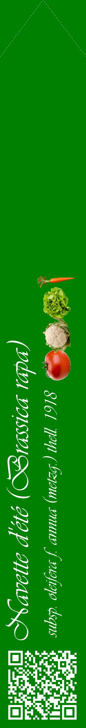 Étiquette de : Brassica rapa subsp. oleifera f. annua (metzg.) thell. 1918 - format c - style blanche9_simpleviv avec qrcode et comestibilité simplifiée