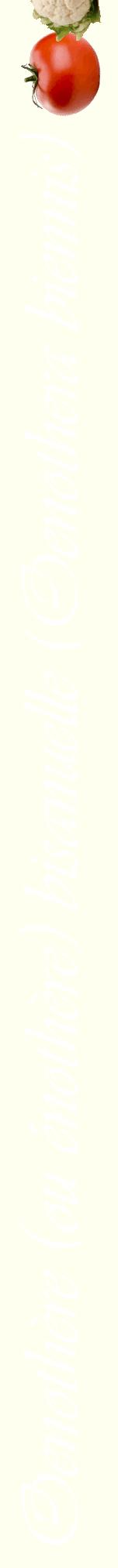 Étiquette de : Oenothera biennis - format a - style blanche19viv avec comestibilité simplifiée