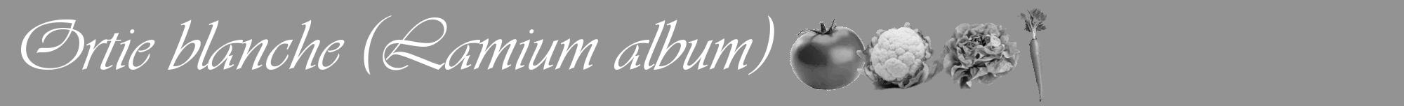 Étiquette de : Lamium album - format a - style blanche44viv avec comestibilité simplifiée