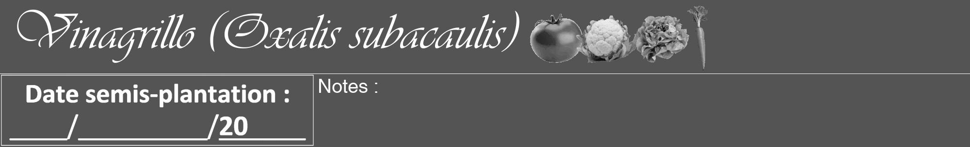 Étiquette de : Oxalis subacaulis - format a - style blanche36viv avec comestibilité simplifiée