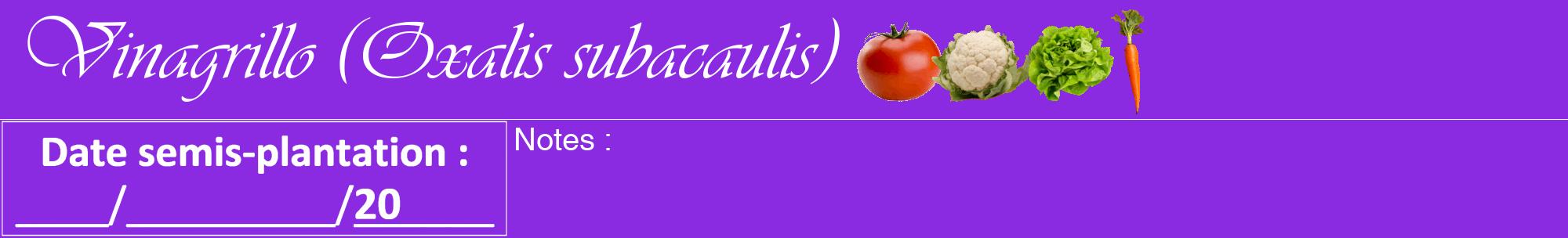 Étiquette de : Oxalis subacaulis - format a - style blanche49viv avec comestibilité simplifiée