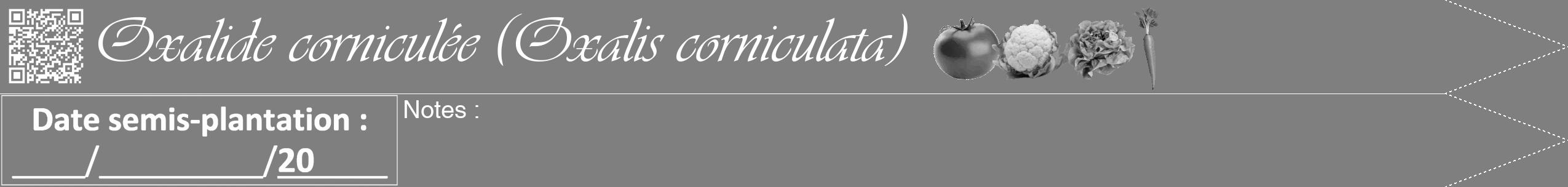 Étiquette de : Oxalis corniculata - format b - style blanche57viv avec qrcode et comestibilité simplifiée