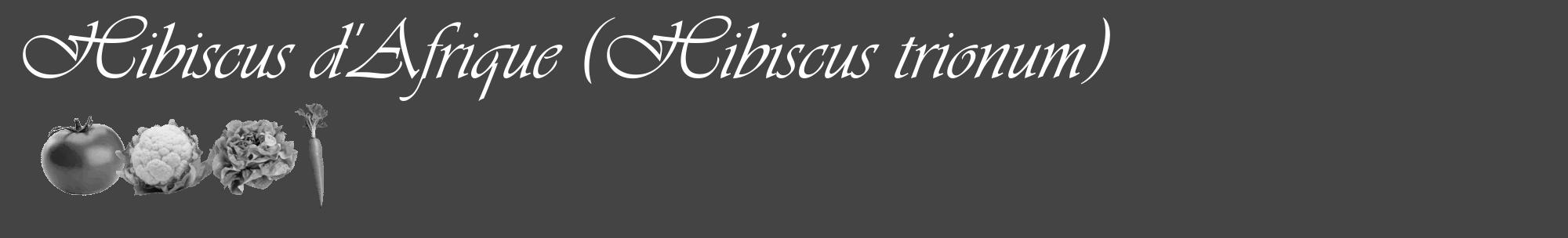 Étiquette de : Hibiscus trionum - format c - style blanche48_basique_basiqueviv avec comestibilité simplifiée