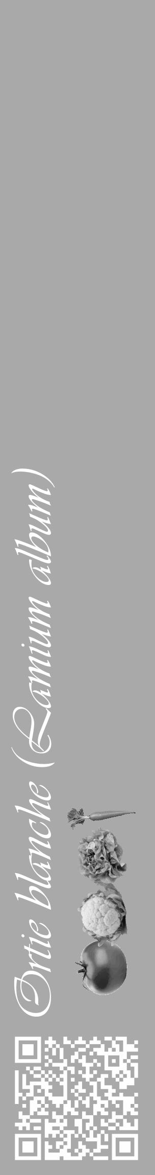 Étiquette de : Lamium album - format c - style blanche13_basique_basiqueviv avec qrcode et comestibilité simplifiée - position verticale