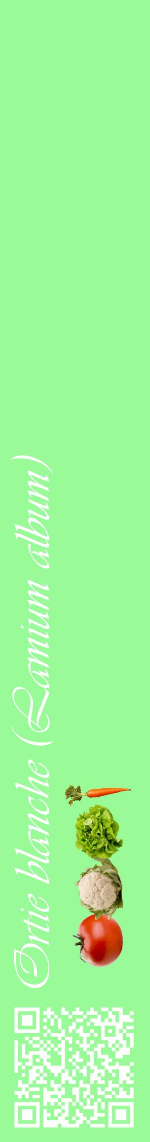 Étiquette de : Lamium album - format c - style blanche14_basiqueviv avec qrcode et comestibilité simplifiée