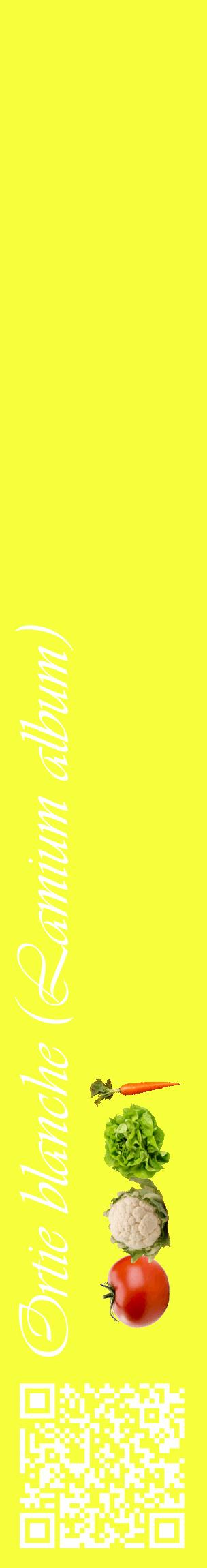 Étiquette de : Lamium album - format c - style blanche18_basiqueviv avec qrcode et comestibilité simplifiée