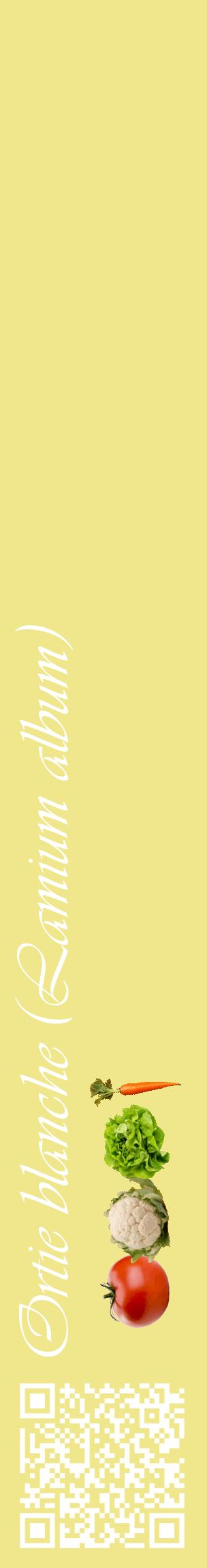 Étiquette de : Lamium album - format c - style blanche20_basiqueviv avec qrcode et comestibilité simplifiée