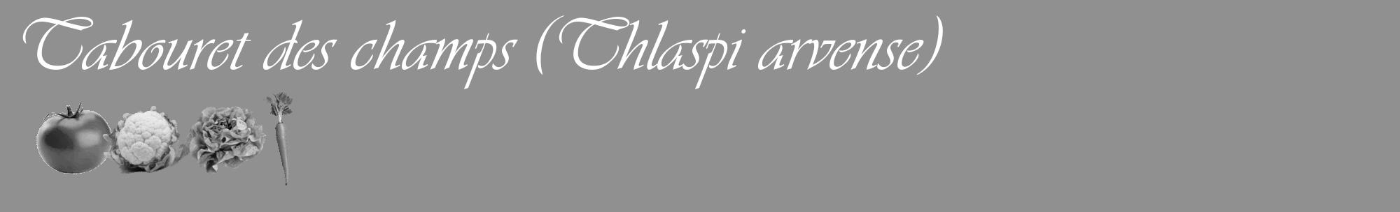 Étiquette de : Thlaspi arvense - format c - style blanche4_basique_basiqueviv avec comestibilité simplifiée