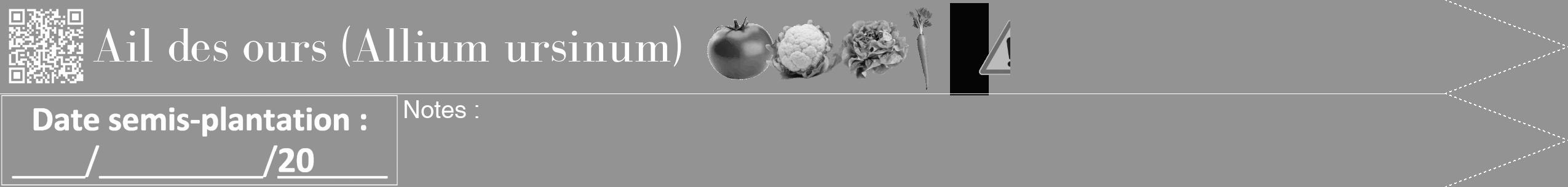 Étiquette de : Allium ursinum - format b - style blanche44bod avec qrcode et comestibilité simplifiée