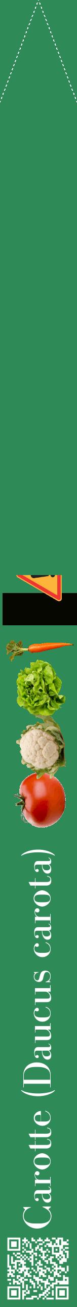 Étiquette de : Daucus carota - format b - style blanche11bod avec qrcode et comestibilité simplifiée