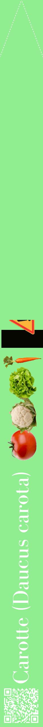 Étiquette de : Daucus carota - format b - style blanche15bod avec qrcode et comestibilité simplifiée