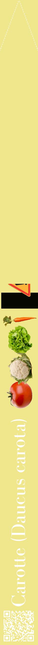 Étiquette de : Daucus carota - format b - style blanche20bod avec qrcode et comestibilité simplifiée