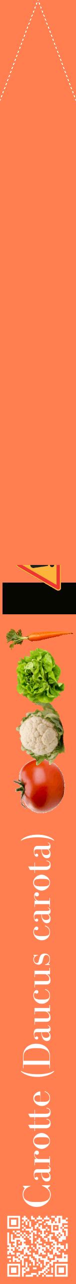 Étiquette de : Daucus carota - format b - style blanche24bod avec qrcode et comestibilité simplifiée