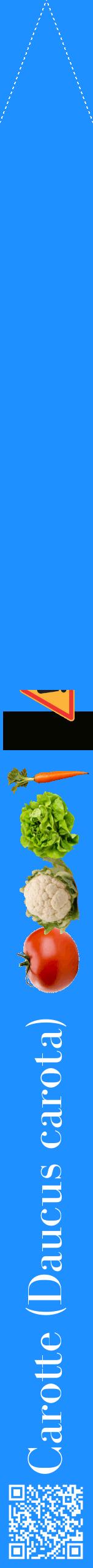 Étiquette de : Daucus carota - format b - style blanche3bod avec qrcode et comestibilité simplifiée