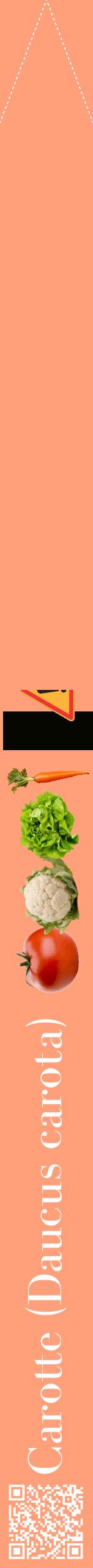 Étiquette de : Daucus carota - format b - style blanche39bod avec qrcode et comestibilité simplifiée