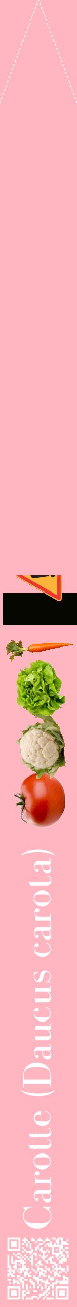 Étiquette de : Daucus carota - format b - style blanche41bod avec qrcode et comestibilité simplifiée
