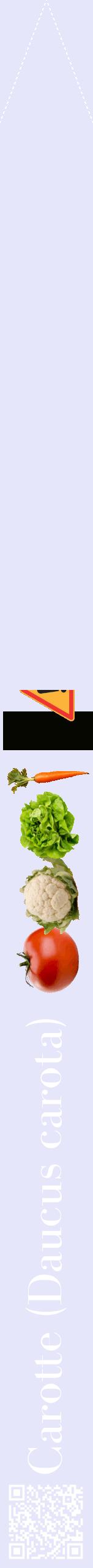 Étiquette de : Daucus carota - format b - style blanche55bod avec qrcode et comestibilité simplifiée
