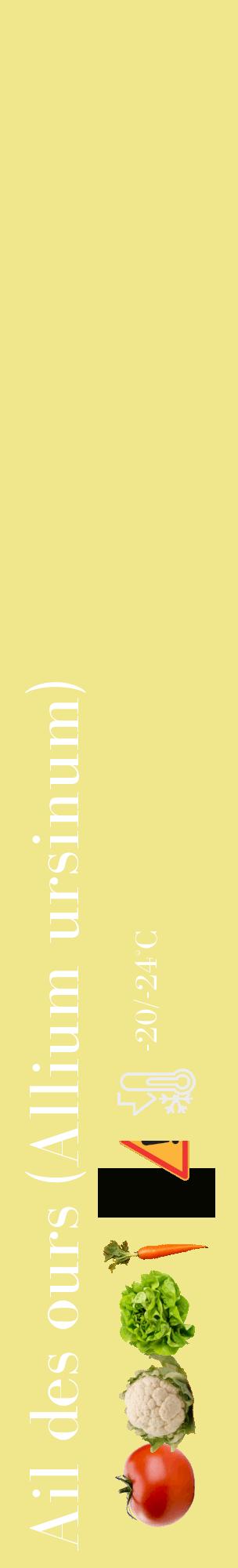 Étiquette de : Allium ursinum - format c - style blanche20_basique_basiquebod avec comestibilité simplifiée - position verticale