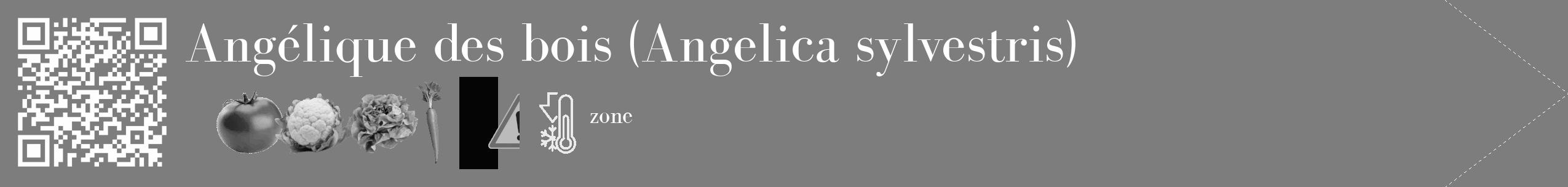Étiquette de : Angelica sylvestris - format c - style blanche35_simple_simplebod avec qrcode et comestibilité simplifiée