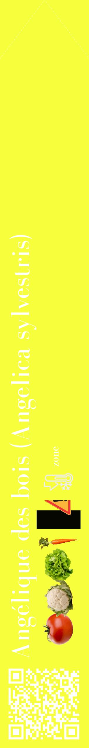 Étiquette de : Angelica sylvestris - format c - style blanche18_simple_simplebod avec qrcode et comestibilité simplifiée - position verticale