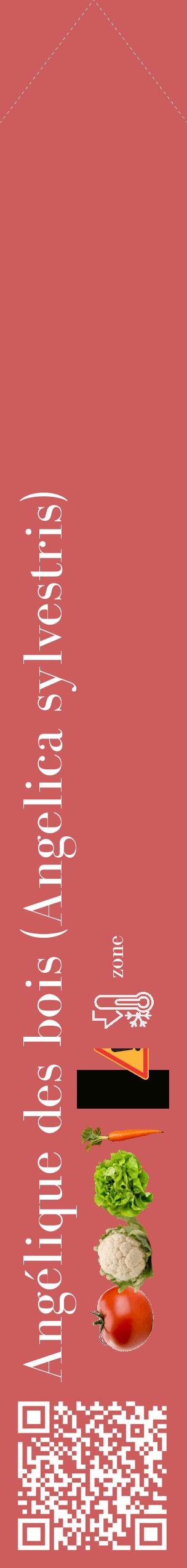 Étiquette de : Angelica sylvestris - format c - style blanche35_simple_simplebod avec qrcode et comestibilité simplifiée - position verticale