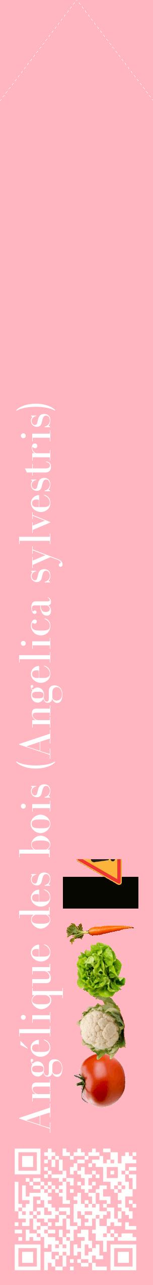 Étiquette de : Angelica sylvestris - format c - style blanche41_simplebod avec qrcode et comestibilité simplifiée