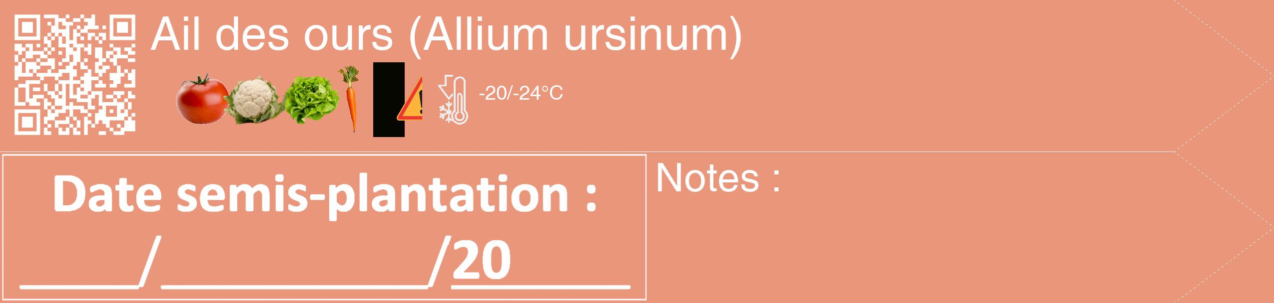 Étiquette de : Allium ursinum - format c - style blanche37_simple_simplehel avec qrcode et comestibilité simplifiée
