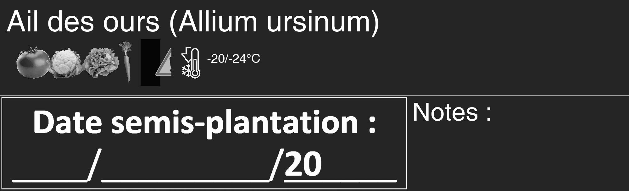 Étiquette de : Allium ursinum - format c - style blanche47_basique_basiquehel avec comestibilité simplifiée