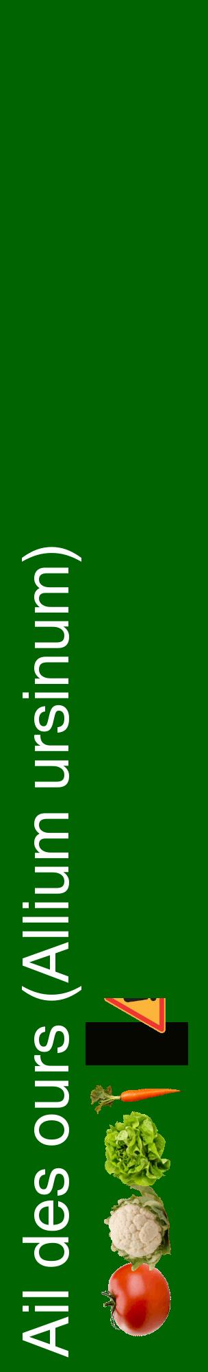 Étiquette de : Allium ursinum - format c - style blanche8_basiquehel avec comestibilité simplifiée